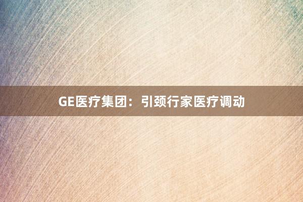GE医疗集团：引颈行家医疗调动